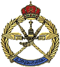 [Air Force Badge (Oman)]